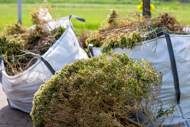 Best Dumpster Rental Services  in Pocono Woodland Lakes, PA